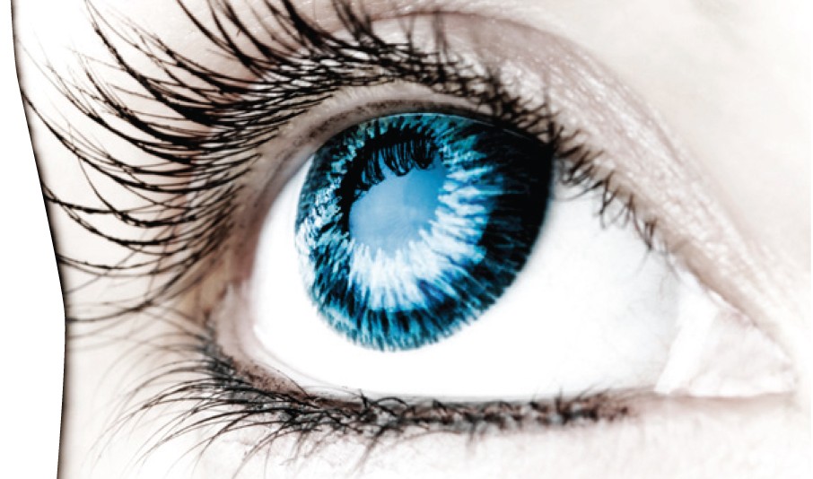 Eye