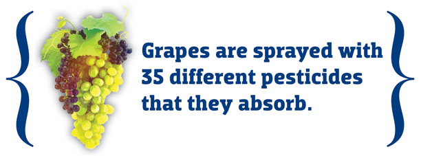 GMOs_grapes