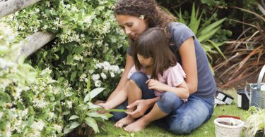 Gardening for Mental Health