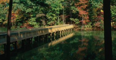 Parks in Virginia