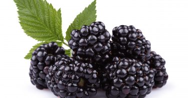 blackberries