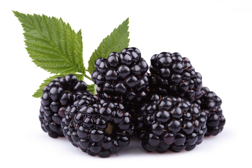 blackberries