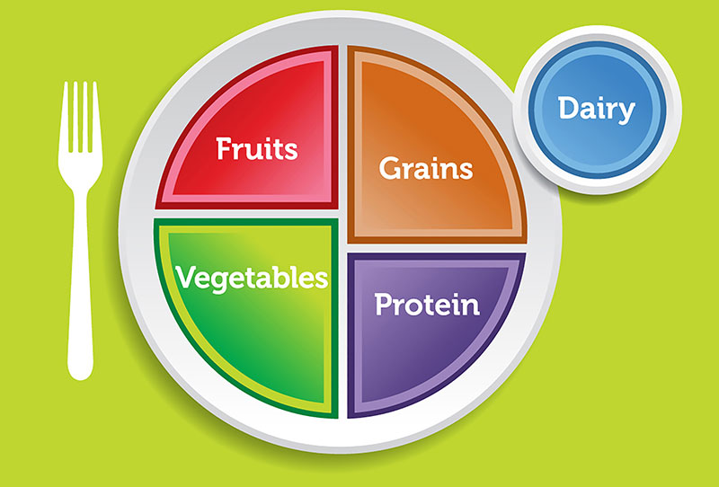 MyPlate School Lunches