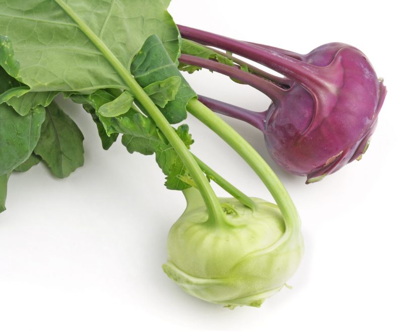 Kohlrabi