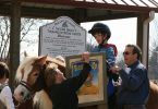 Dream Catchers Therapeutic Riding