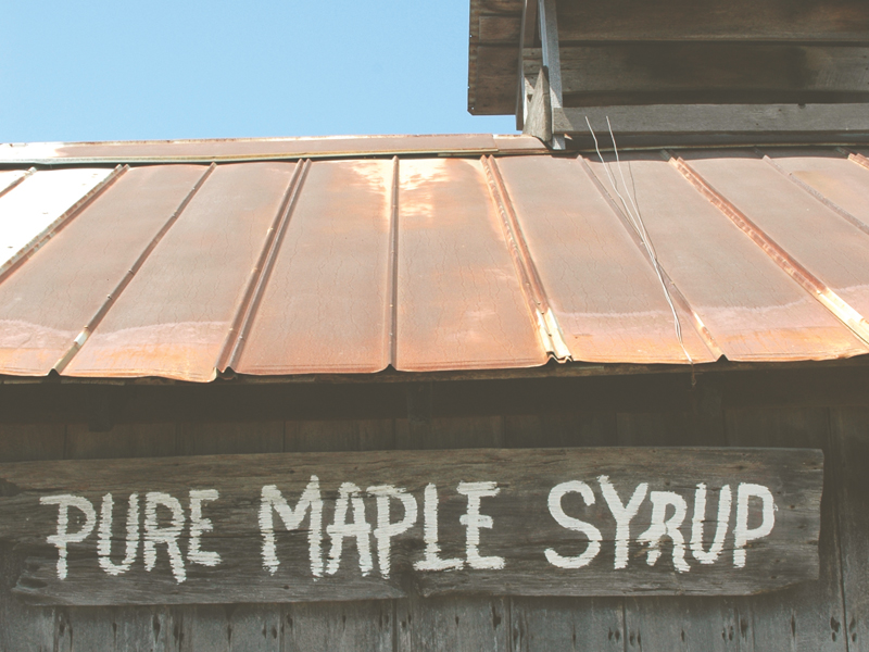 Pure maple syrup