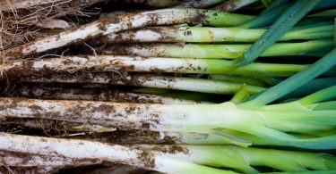 buying from farmers — Health Journal