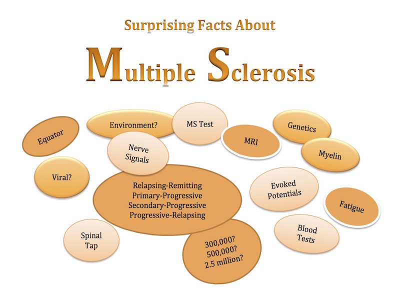 Surprising Facts About MS Test for MS