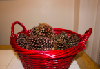 DIY Pinecone Firestarters