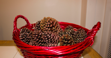 DIY Pinecone Firestarters