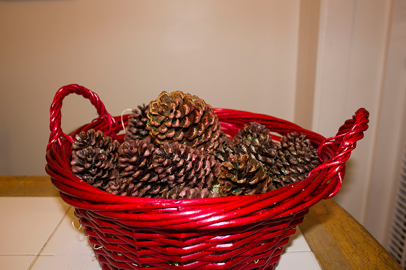 DIY Pinecone Firestarters