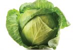 cabbage is nutrient