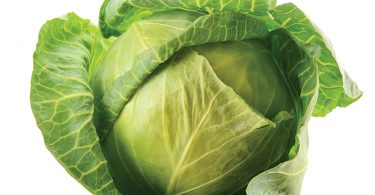 cabbage is nutrient