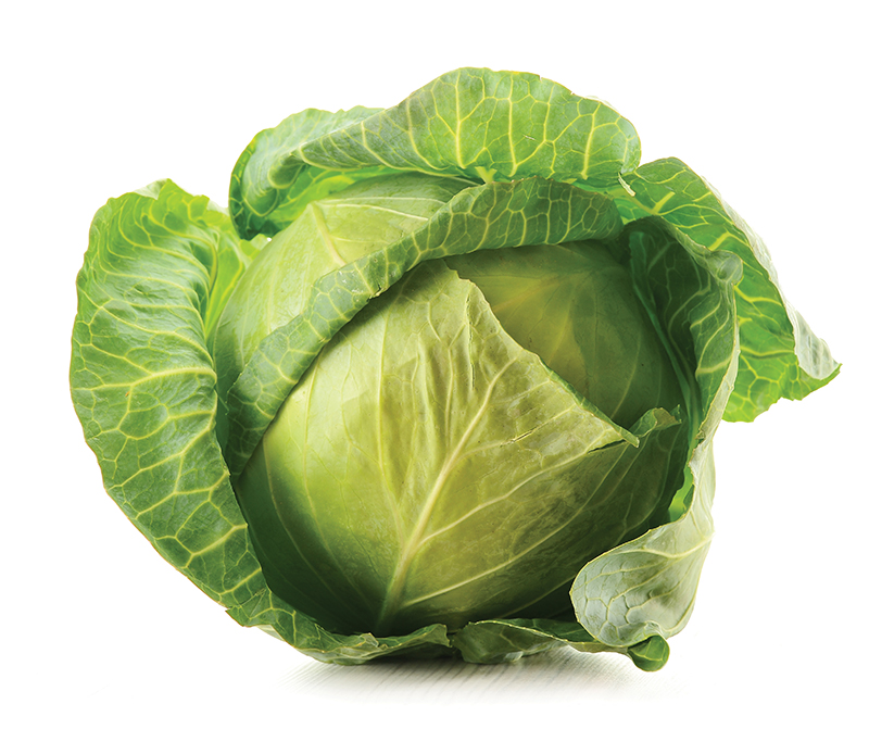 cabbage is nutrient