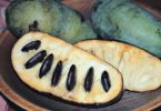 Meet the PawPaw Fruit