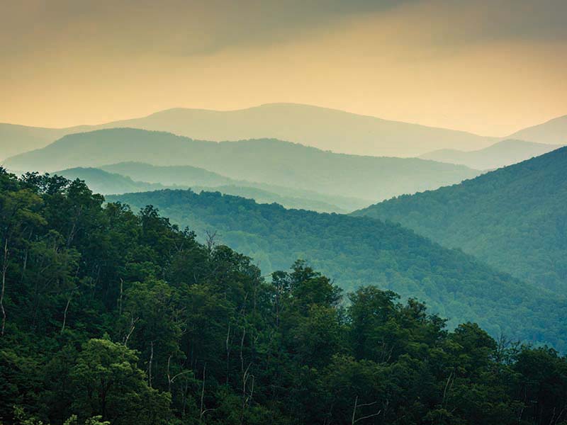 The Blue Ridge Mountains