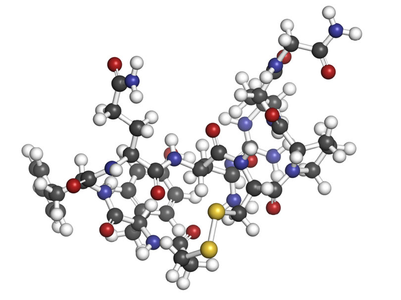 hormone replacement prevent heart disease