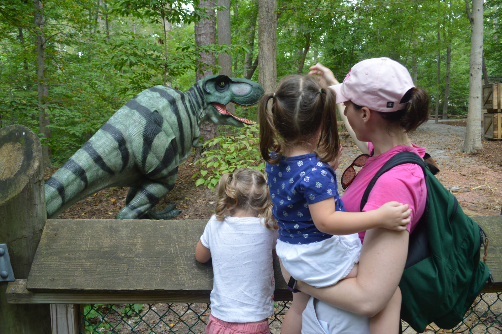 dinosaur discovery park
