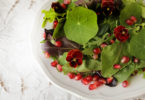 Pomegranate and Arugula Salad