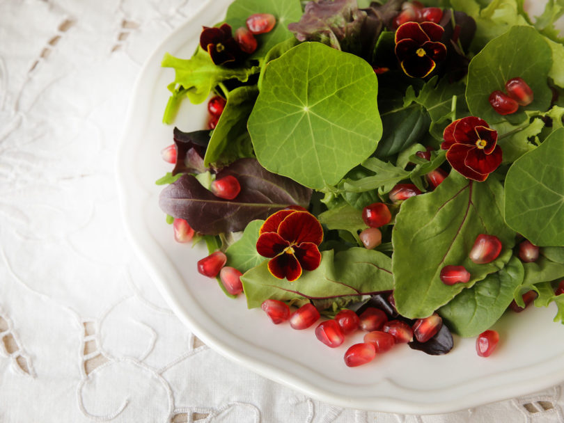 Pomegranate and Arugula Salad