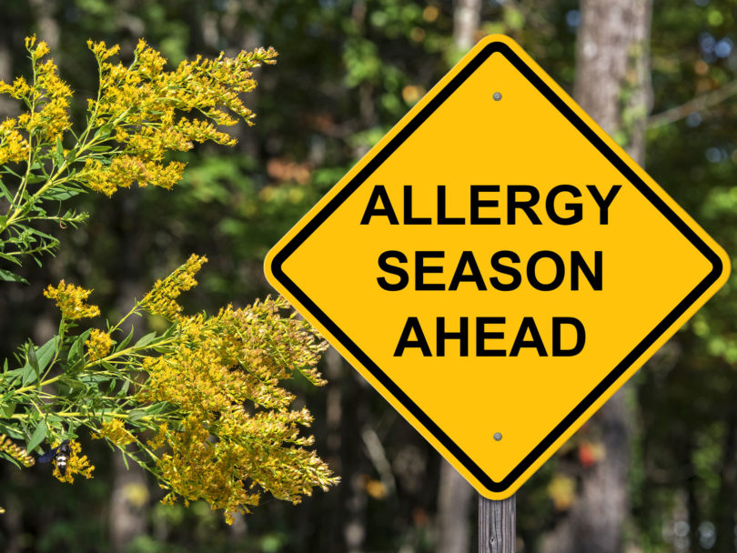 Will Children Outgrow Allergies