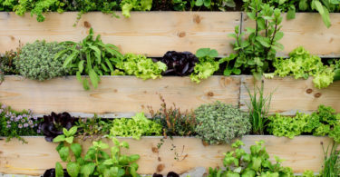 vertical pallet garden