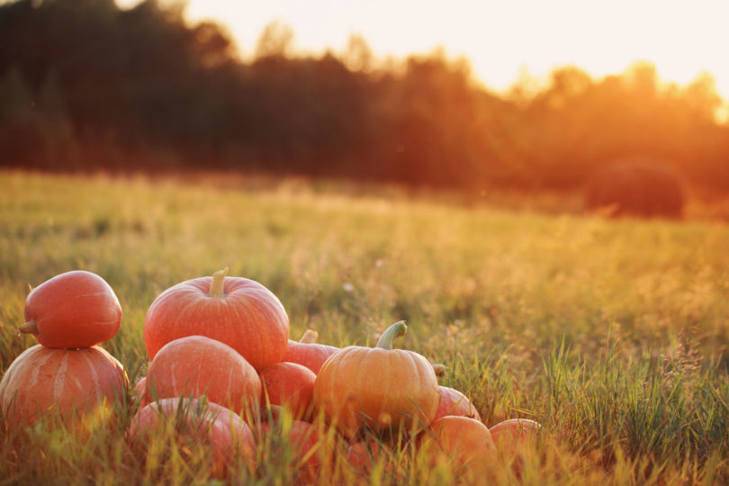 Pumpkins