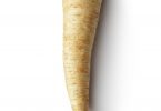 parsnip vegetable