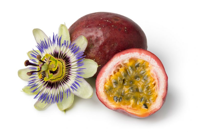 passion fruit