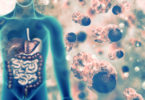 gut flora, gut microbiota, immune system