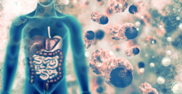 gut flora, gut microbiota, immune system