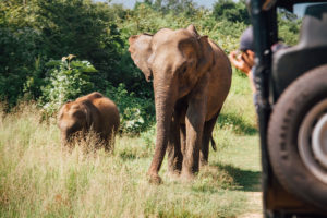 Sri Lanka