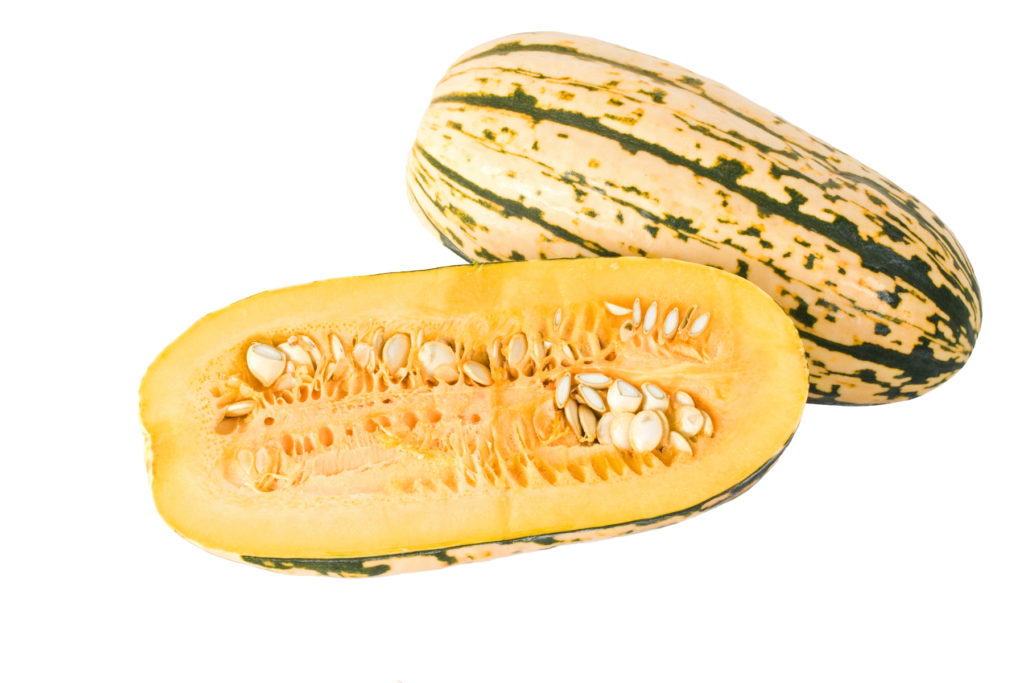 Delicata squash