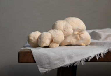 Lions mane mushroom